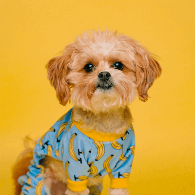 Featured Snippet Image