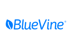 BlueVine Business Checking Logo